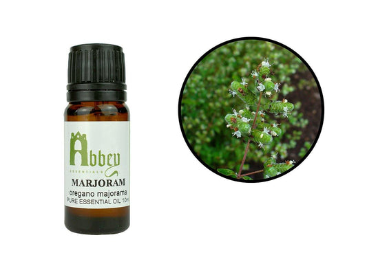 Marjoram (Sweet) Essential Oil-0