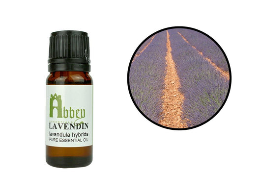 Lavandin Essential Oil-0