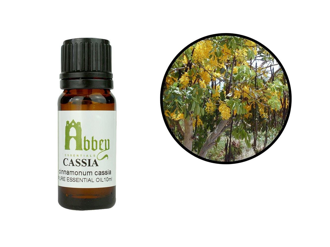 Cassia Essential Oil-0