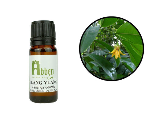 Ylang Ylang Essential Oil-0