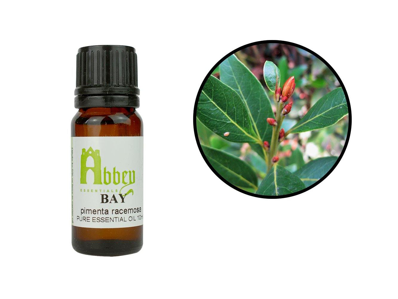 Bay Essential Oil-0