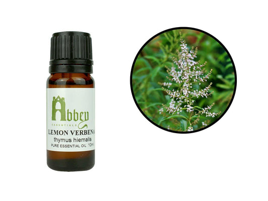 Lemon Verbena Essential Oil-0