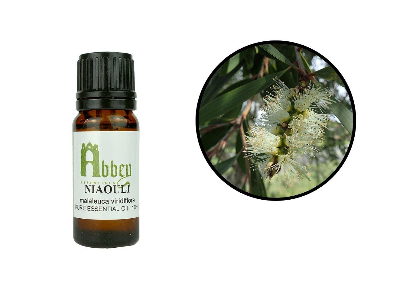 Niaouli Essential Oil-0