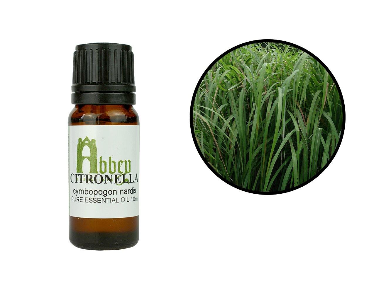 Citronella Essential Oil-0