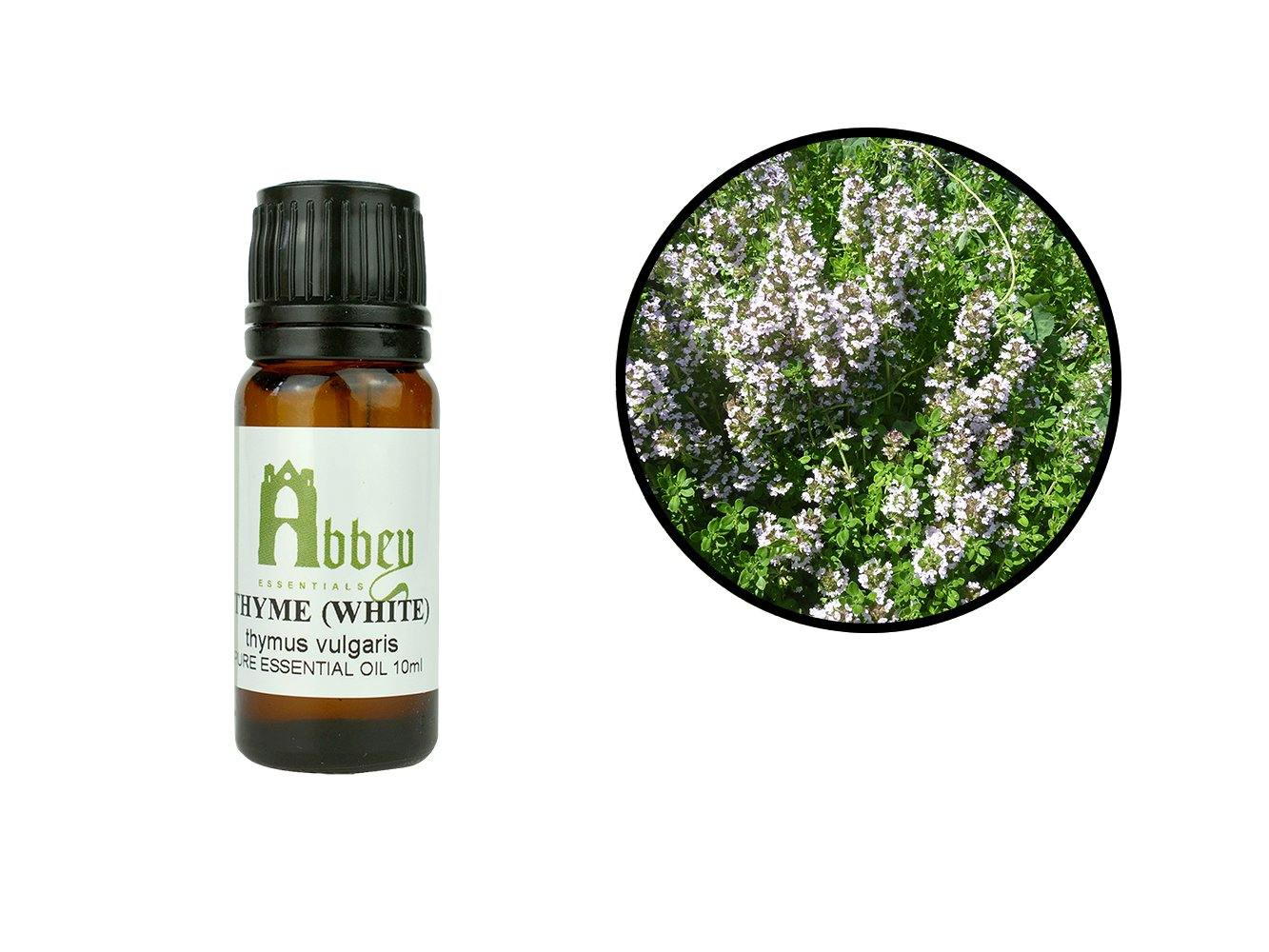 Thyme Essential Oil-0