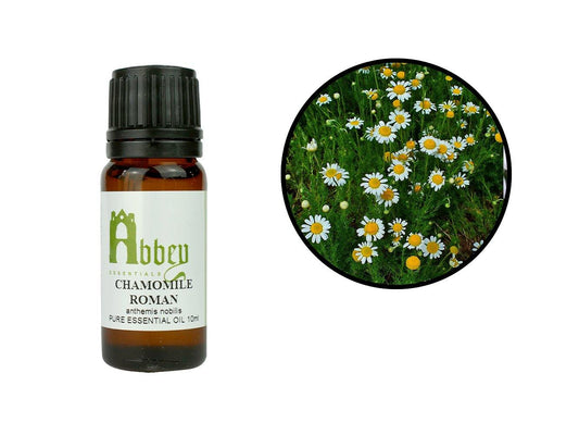 Chamomile Roman Essential Oil-0