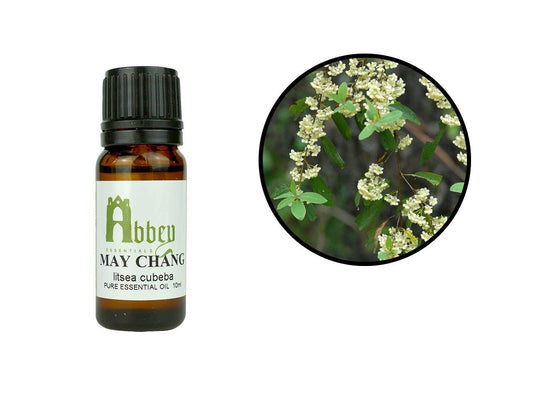 May Chang Essential Oil-0