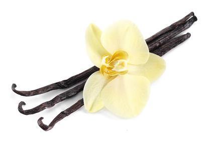 Vanilla Absolute Oil-1