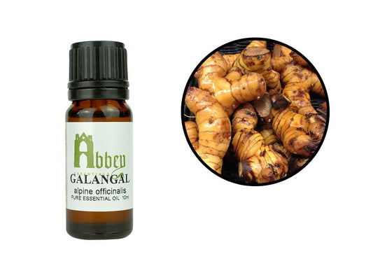 Galangal Essential Oil-0