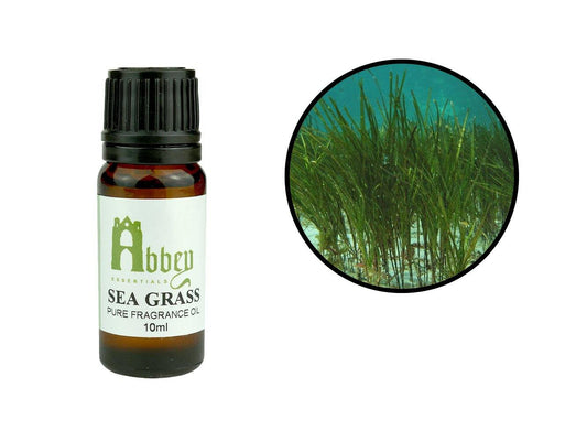 Sea Grass Fragrance 10ml-0