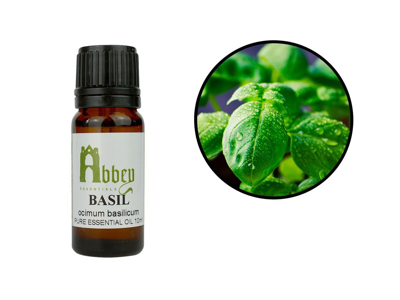 Basil Essential Oil-0