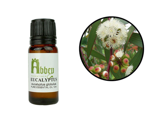 Eucalyptus Essential Oil-0