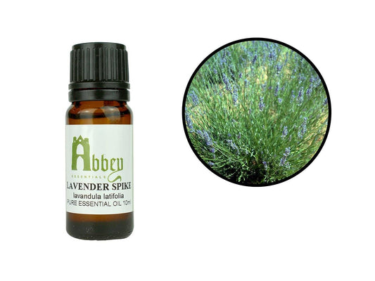 Lavender Spike Essential Oil-0