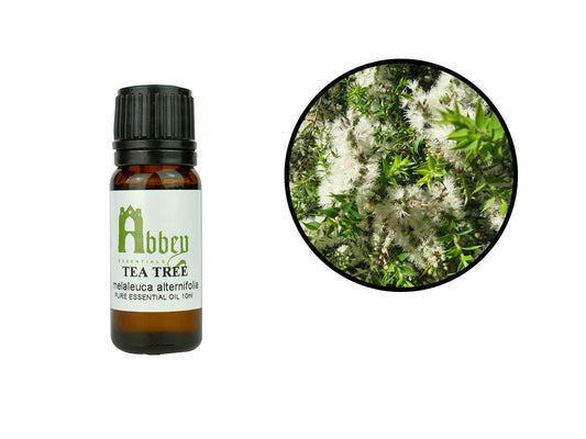 Tea Tree Essential Oil-0