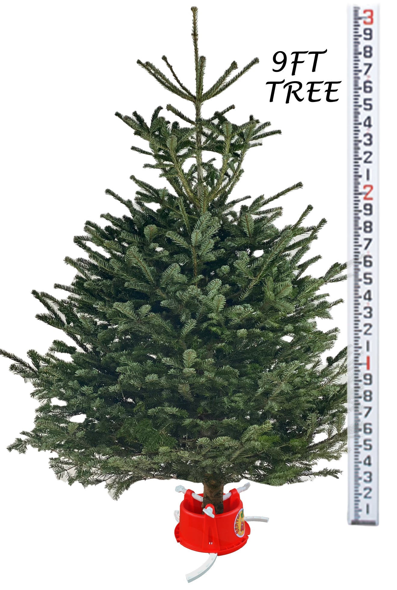 Bertie Christmas Tree Stand-1
