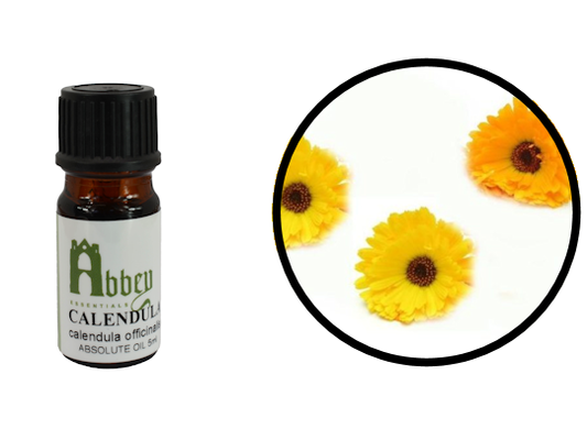 Calendula Absolute Oil-0