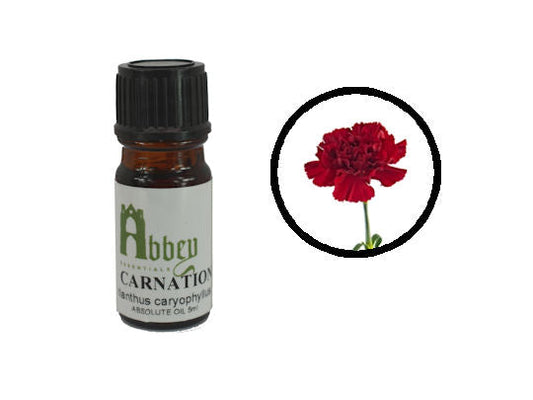 Carnation Fragrance 10ml-0