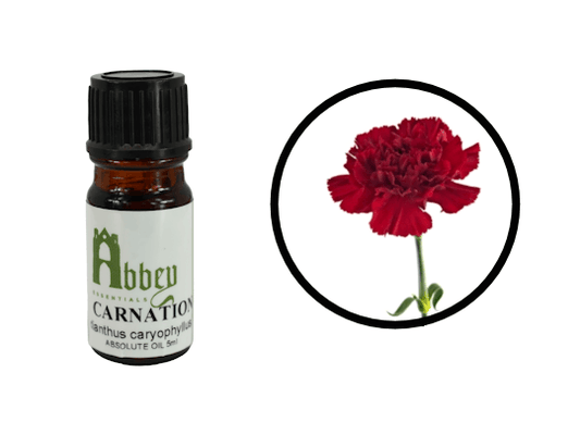 Carnation Absolute 5ml-0