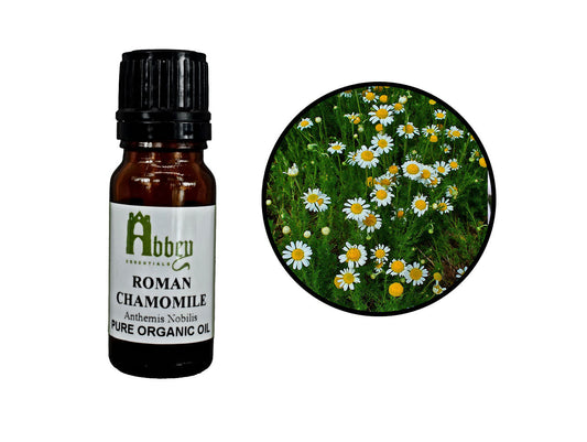 Chamomile Roman Organic 5ml-0