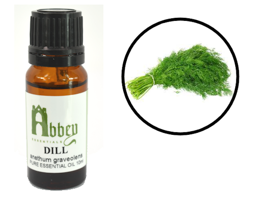 Dill Essential Oil-0