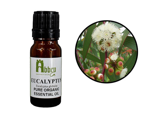 Eucalyptus Organic 5ml-0