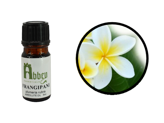 Frangipani Absolute Oil-0