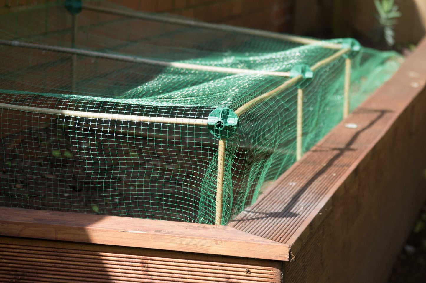 Cane Balls - Build netting cages and plant structures the simple way.-2