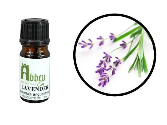 Lavender Absolute Oil-0