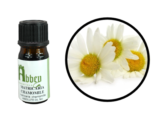 Matricaria Chamomile Absolute (Blue/German Chamomile) 5ml-0