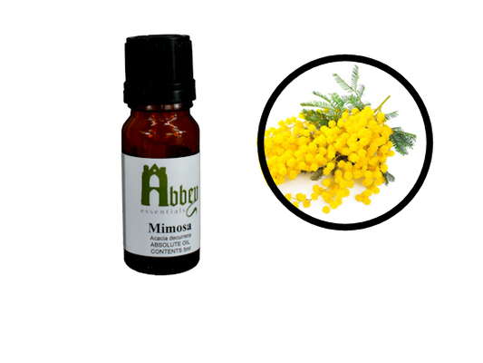 Mimosa Absolute Oil-0