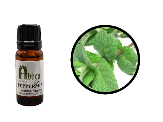 Peppermint Essential Oil-0