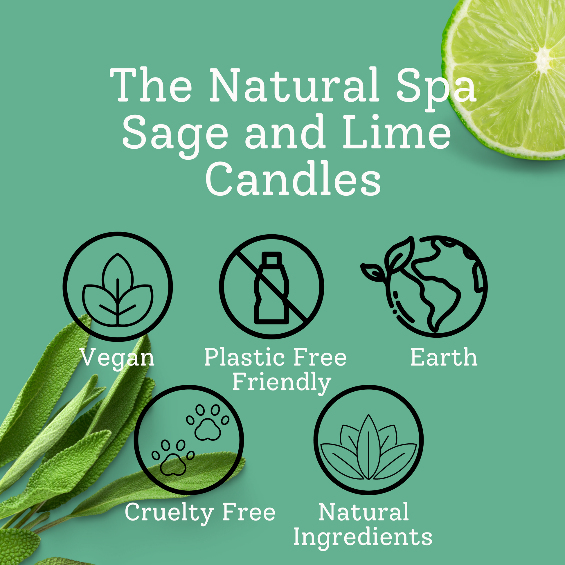 Sage & Lime hand poured coconut wax candle - 2 size options-5