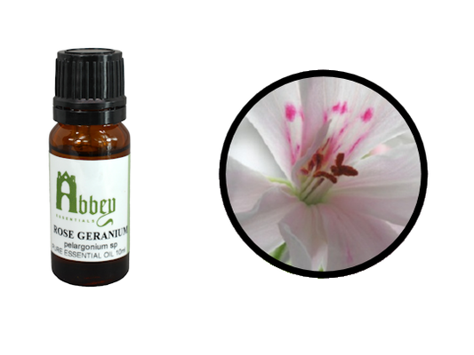 Rose Geranium Essential Oil-0