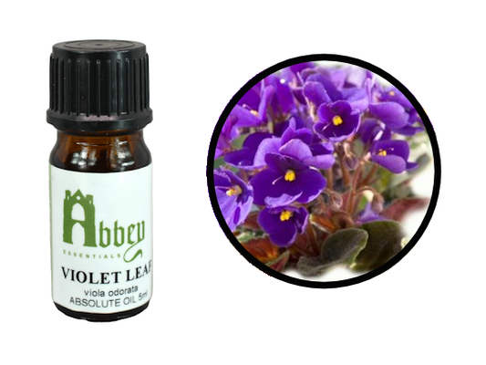 Violet Leaf Absolute Oil-0