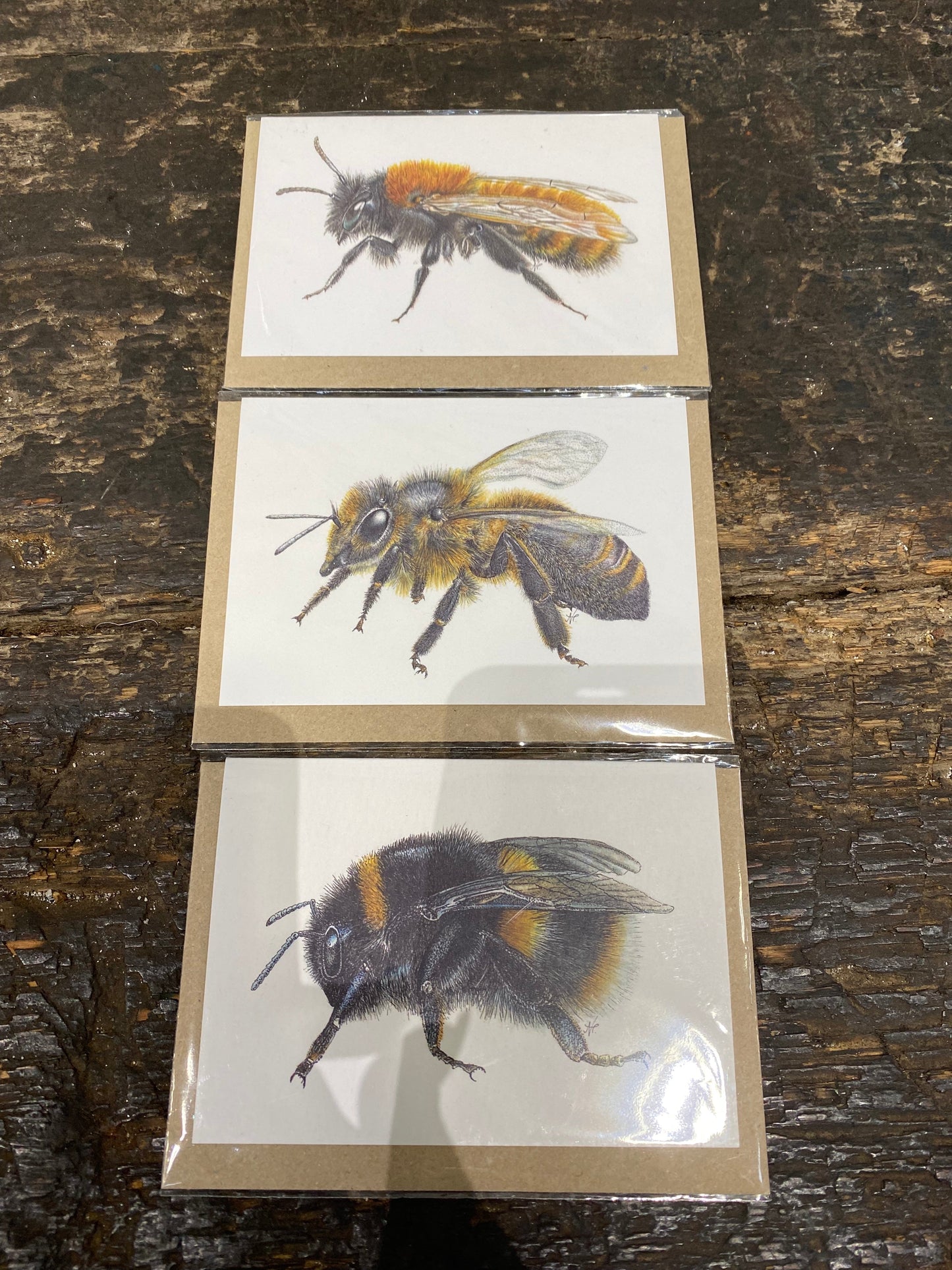 Bee Greetings Cards-0