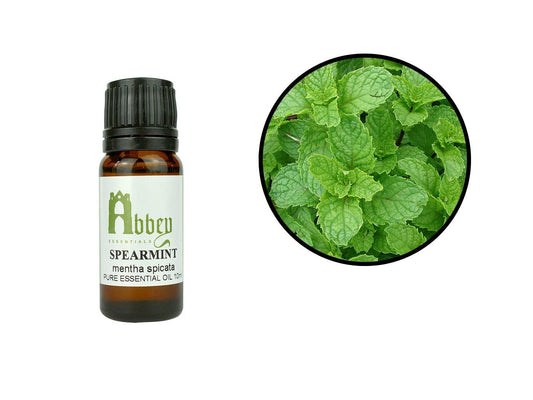 Spearmint Essential Oil-0