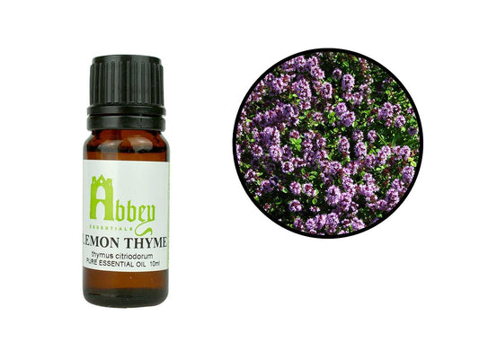 Lemon Thyme Essential Oil-0