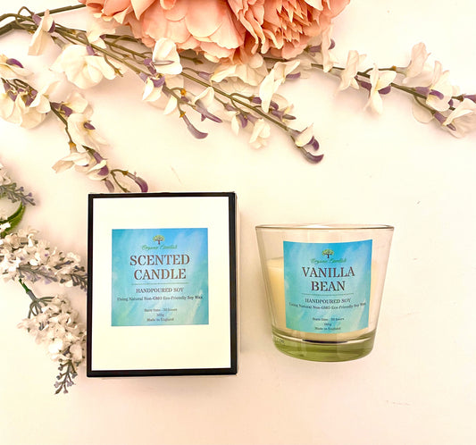 Eco-Friendly Vanilla Bean Scented Candle-0