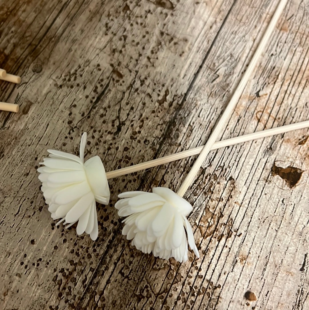 Reed Diffuser Flower-1