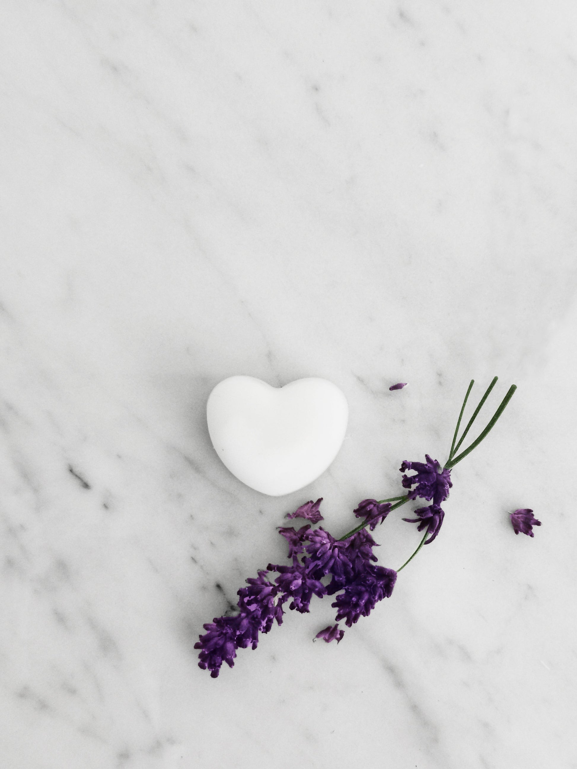 Lavender & Ylang Ylang Aromatherapy Naturally Scented Wax Melts-4