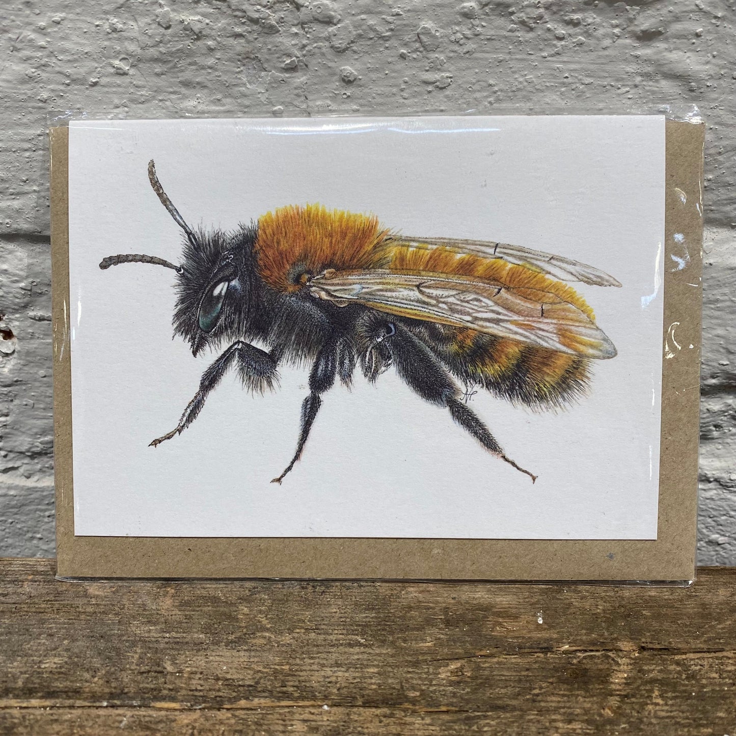 Bee Greetings Cards-2