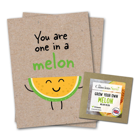 You Are One In A Melon - Eco Kraft Greeting Card-0