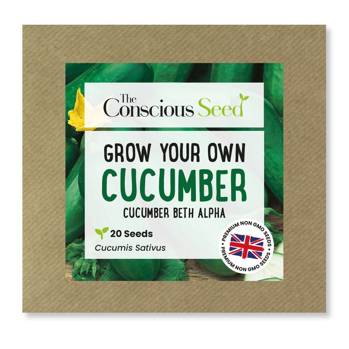 Cucumber - 20 Premium Seeds-0