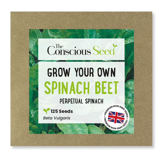 Spinach Beet - 125 Premium Seeds-0