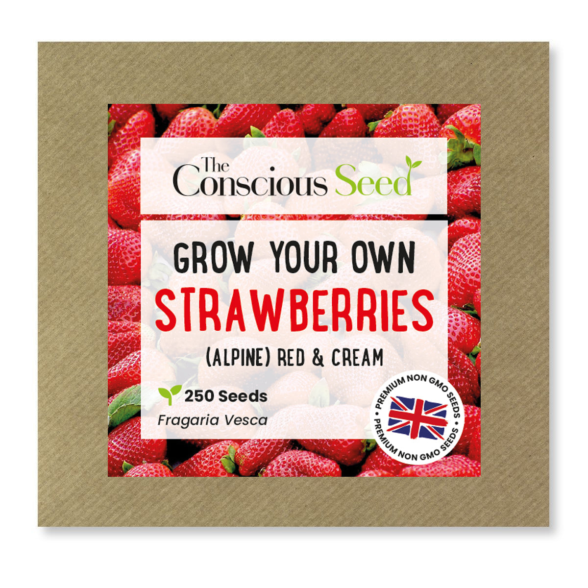 Strawberries - 250 Premium Seeds-0