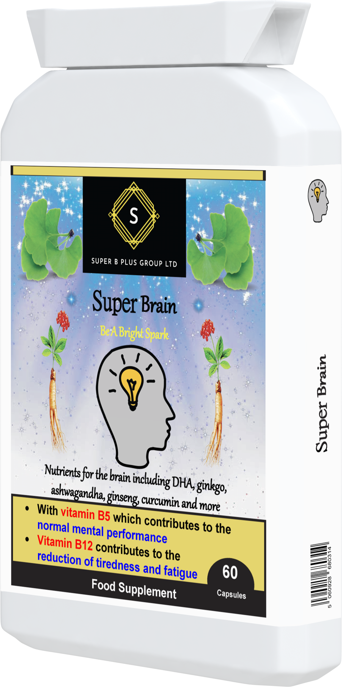 Super Brain-2