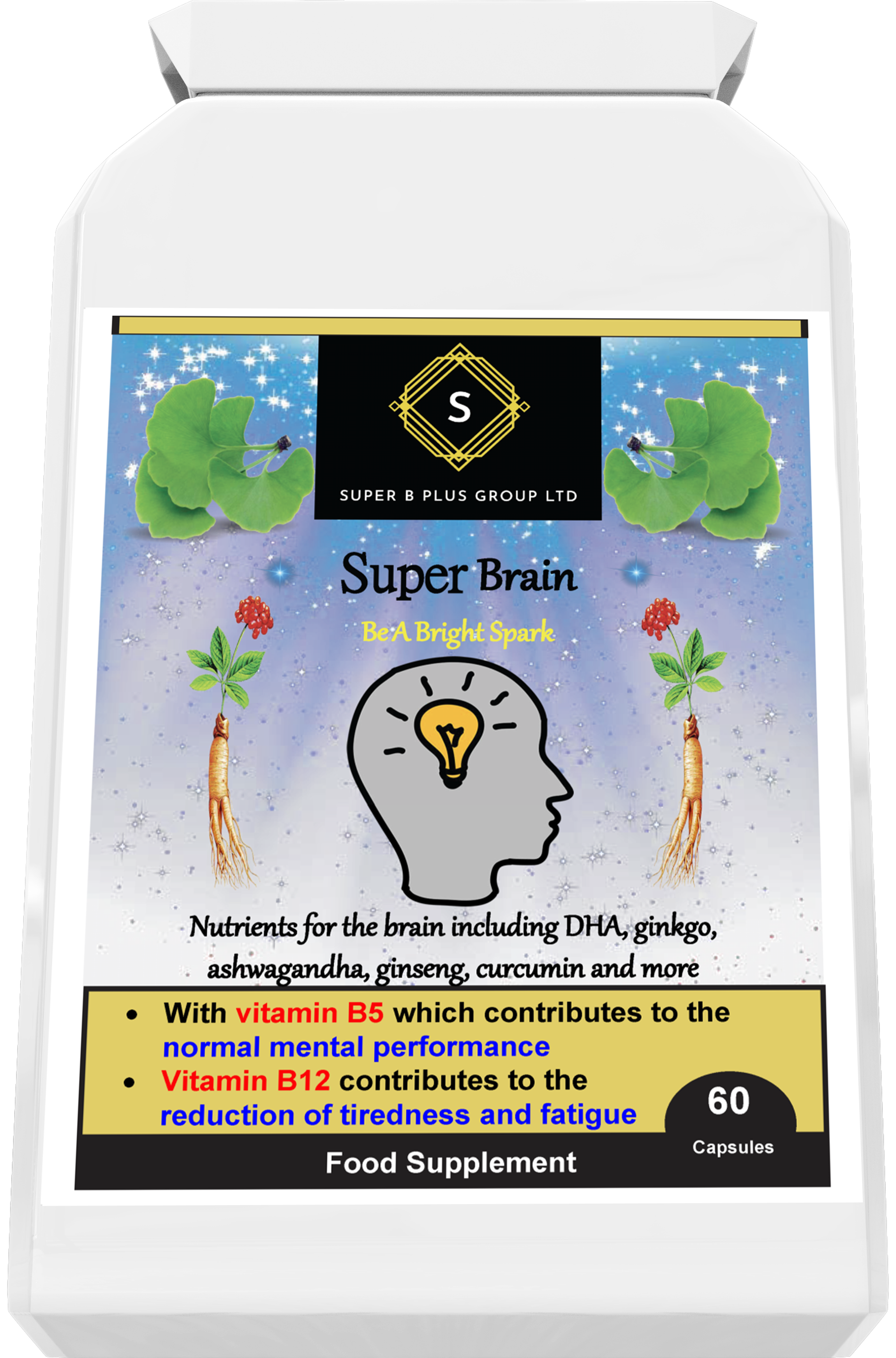 Super Brain-3