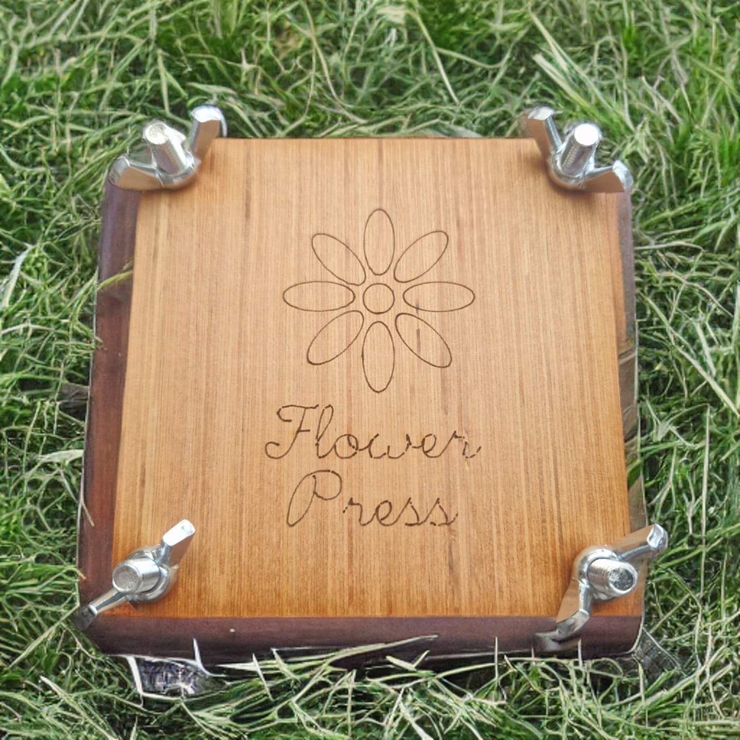 Mini Wooden Flower Press-1