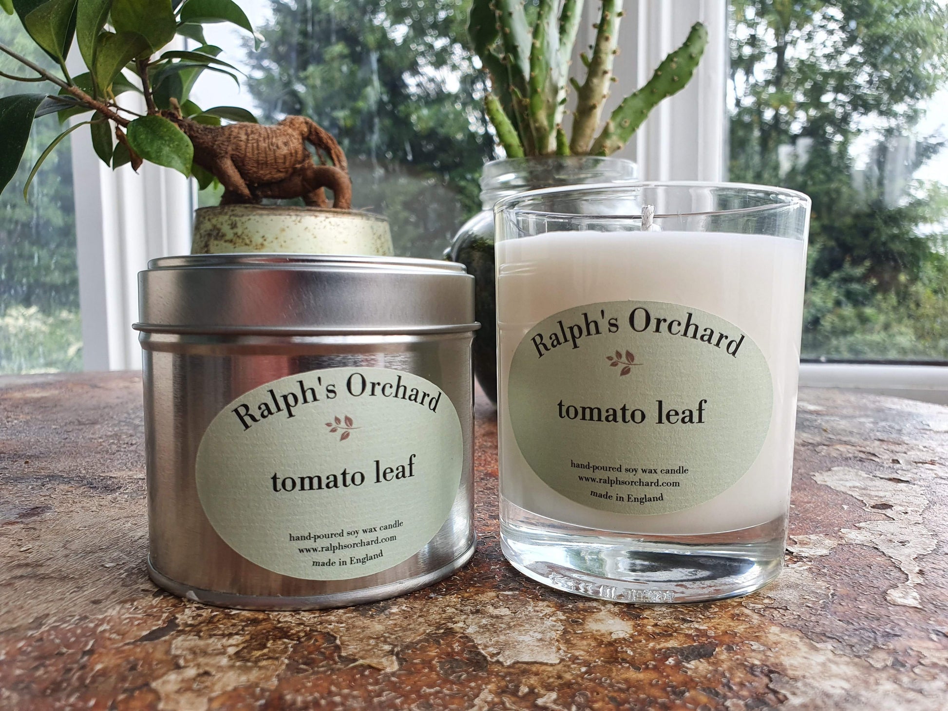 Tomato Leaf Scented Candle-1