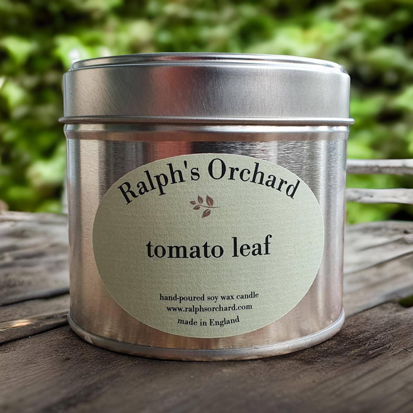 Tomato Leaf Scented Candle-0